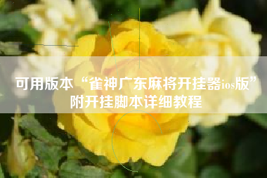 可用版本“雀神广东麻将开挂器ios版”附开挂脚本详细教程