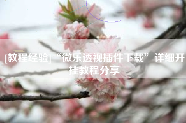 [教程经验]“微乐透视插件下载”详细开挂教程分享