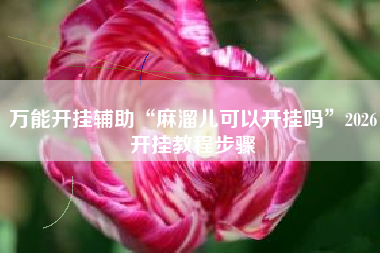 万能开挂辅助“麻溜儿可以开挂吗”2026开挂教程步骤