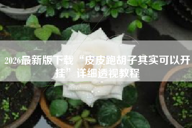 2026最新版下载“皮皮跑胡子其实可以开挂”详细透视教程