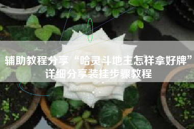 辅助教程分享“哈灵斗地主怎样拿好牌”详细分享装挂步骤教程