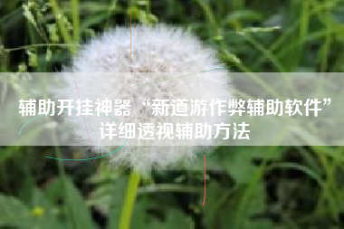 辅助开挂神器“新道游作弊辅助软件”详细透视辅助方法