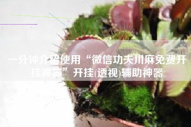 一分钟介绍使用“微信功夫川麻免费开挂神器	”开挂(透视)辅助神器