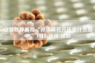 安装程序教程“微乐麻将开挂是什么意思”开挂(透视)辅助