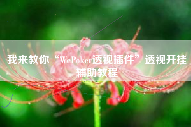 我来教你“WePoker透视插件”透视开挂辅助教程 我来教你“WePoker透视插件”透视开挂辅助教程