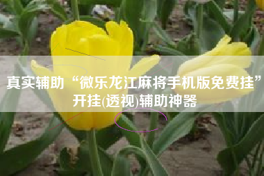 真实辅助“微乐龙江麻将手机版免费挂”开挂(透视)辅助神器