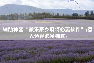 辅助神器“微乐家乡麻将必赢软件	”(曝光透视必备猫腻)