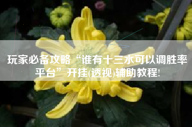 玩家必备攻略“谁有十三水可以调胜率平台	”开挂(透视)辅助教程!