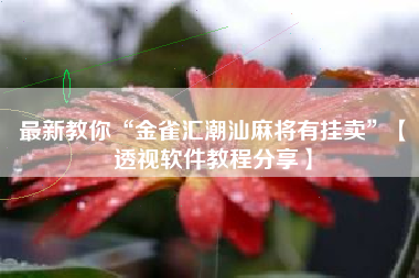 最新教你“金雀汇潮汕麻将有挂卖	”【透视软件教程分享】