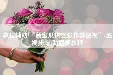 教程辅助!“新蜜瓜拼三张作弊透视”(透视挂)辅助透视教程