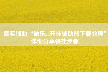 真实辅助“微乐a3开挂辅助器下载教程	”详细分享装挂步骤
