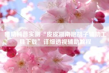 辅助科普实测“皮皮湖南跑胡子辅助工具下载	”详细透视辅助教程