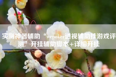 实测神器辅助“wepoker透视辅助挂游戏评测”开挂辅助脚本+详细开挂