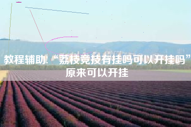 教程辅助!“荔枝竞技有挂吗可以开挂吗	”原来可以开挂