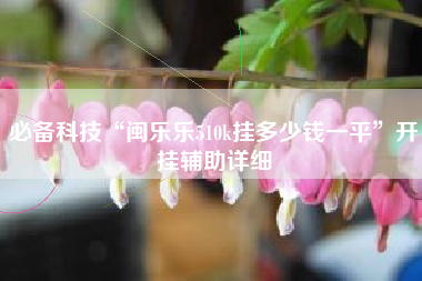 必备科技“闽乐乐510k挂多少钱一平	”开挂辅助详细