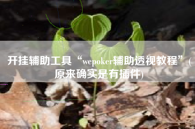 开挂辅助工具“wepoker辅助透视教程”(原来确实是有插件)