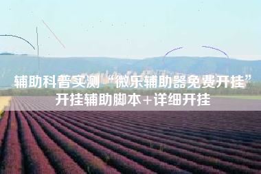 辅助科普实测“微乐辅助器免费开挂”开挂辅助脚本+详细开挂