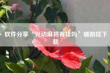 软件分享“兴动麻将有挂吗”辅助挂下载