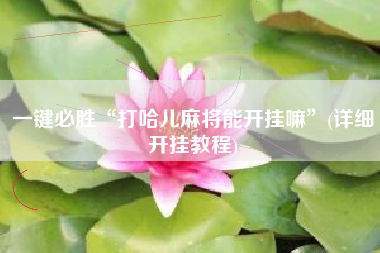 一键必胜“打哈儿麻将能开挂嘛”(详细开挂教程)