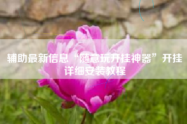 辅助最新信息“随意玩开挂神器”开挂详细安装教程