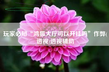 玩家必知“鸿狐大厅可以开挂吗”作弊(透视)透视辅助