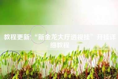 教程更新!“新金龙大厅透视挂”开挂详细教程