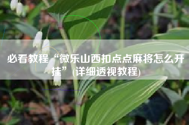必看教程“微乐山西扣点点麻将怎么开挂”(详细透视教程) 必看教程“微乐山西扣点点麻将怎么开挂”(详细透视教程)