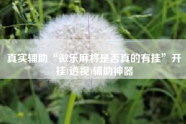 真实辅助“微乐麻将是否真的有挂	”开挂(透视)辅助神器