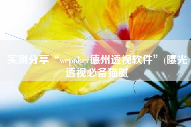 实测分享“wepoker德州透视软件	”(曝光透视必备猫腻
