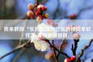 我来教你“乐乐互娱拼三张透视脚本软件	”(详细透视教程)
