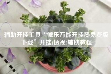 辅助开挂工具“微乐万能开挂器免费版下载	”开挂(透视)辅助教程