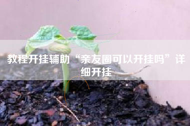 教程开挂辅助“亲友圈可以开挂吗”详细开挂