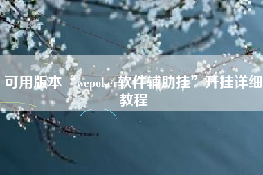 可用版本“wepoker软件辅助挂”开挂详细教程