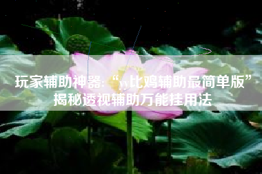 玩家辅助神器:“yy比鸡辅助最简单版	”揭秘透视辅助万能挂用法