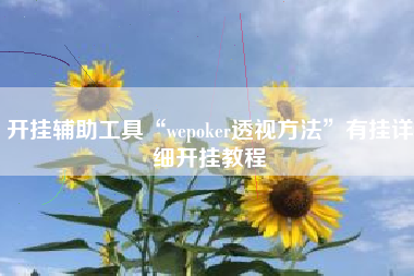 开挂辅助工具“wepoker透视方法	”有挂详细开挂教程