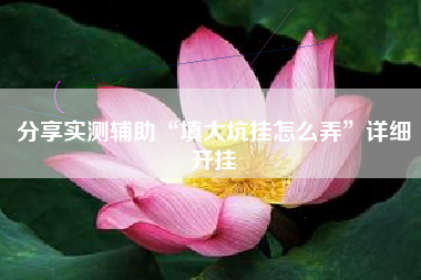 分享实测辅助“填大坑挂怎么弄”详细开挂