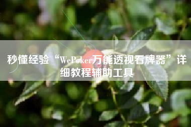秒懂经验“WePoker万能透视看牌器”详细教程辅助工具