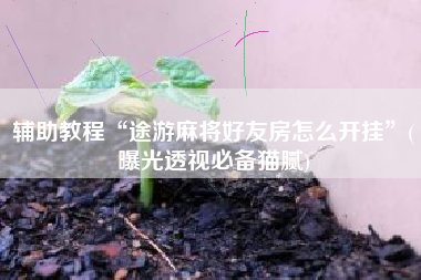 辅助教程“途游麻将好友房怎么开挂	”(曝光透视必备猫腻)