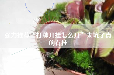 强力推荐“打牌开挂怎么开”太坑了真的有挂