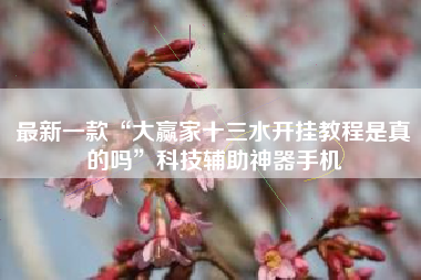 最新一款“大赢家十三水开挂教程是真的吗”科技辅助神器手机