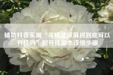 辅助科普实测“斗棋武汉麻将到底可以开挂吗”附开挂脚本详细步骤