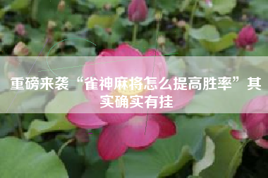 重磅来袭“雀神麻将怎么提高胜率”其实确实有挂 重磅来袭“雀神麻将怎么提高胜率”其实确实有挂