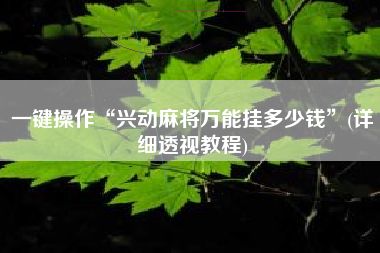 一键操作“兴动麻将万能挂多少钱”(详细透视教程)
