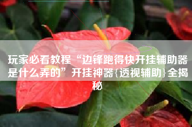 玩家必看教程“边锋跑得快开挂辅助器是什么弄的”开挂神器{透视辅助}全揭秘