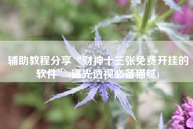 辅助教程分享“财神十三张免费开挂的软件”(曝光透视必备猫腻)