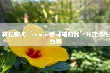 教程辅助“wepoker看牌辅助器”开挂详细教程