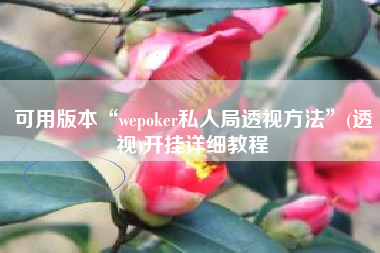 可用版本“wepoker私人局透视方法	”(透视)开挂详细教程