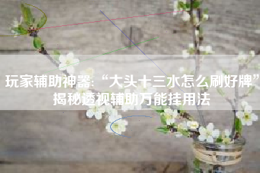 玩家辅助神器:“大头十三水怎么刷好牌”揭秘透视辅助万能挂用法