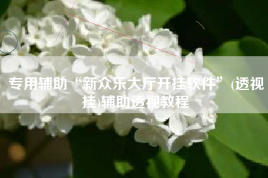 专用辅助“新众乐大厅开挂软件”(透视挂)辅助透视教程