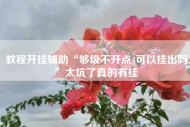 教程开挂辅助“够级不开点4可以挂出吗”太坑了真的有挂
